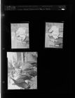 Three men; Boy on horse (3 Negatives) (July 17, 1957) [Sleeve 33, Folder c, Box 12]